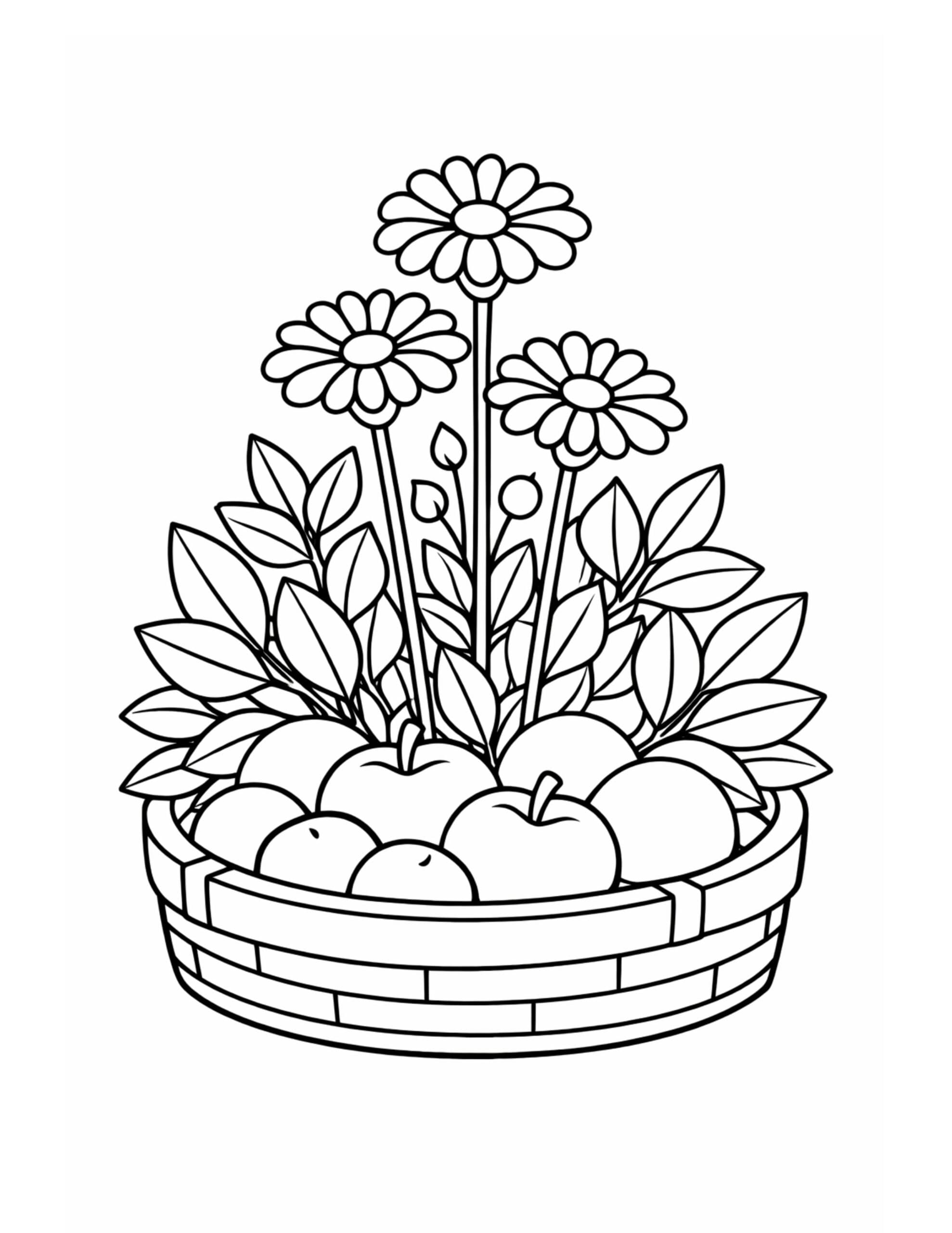 apple basket with daisies coloring page showing a woven basket of apples, leafy stems, and simple flowers coloring page