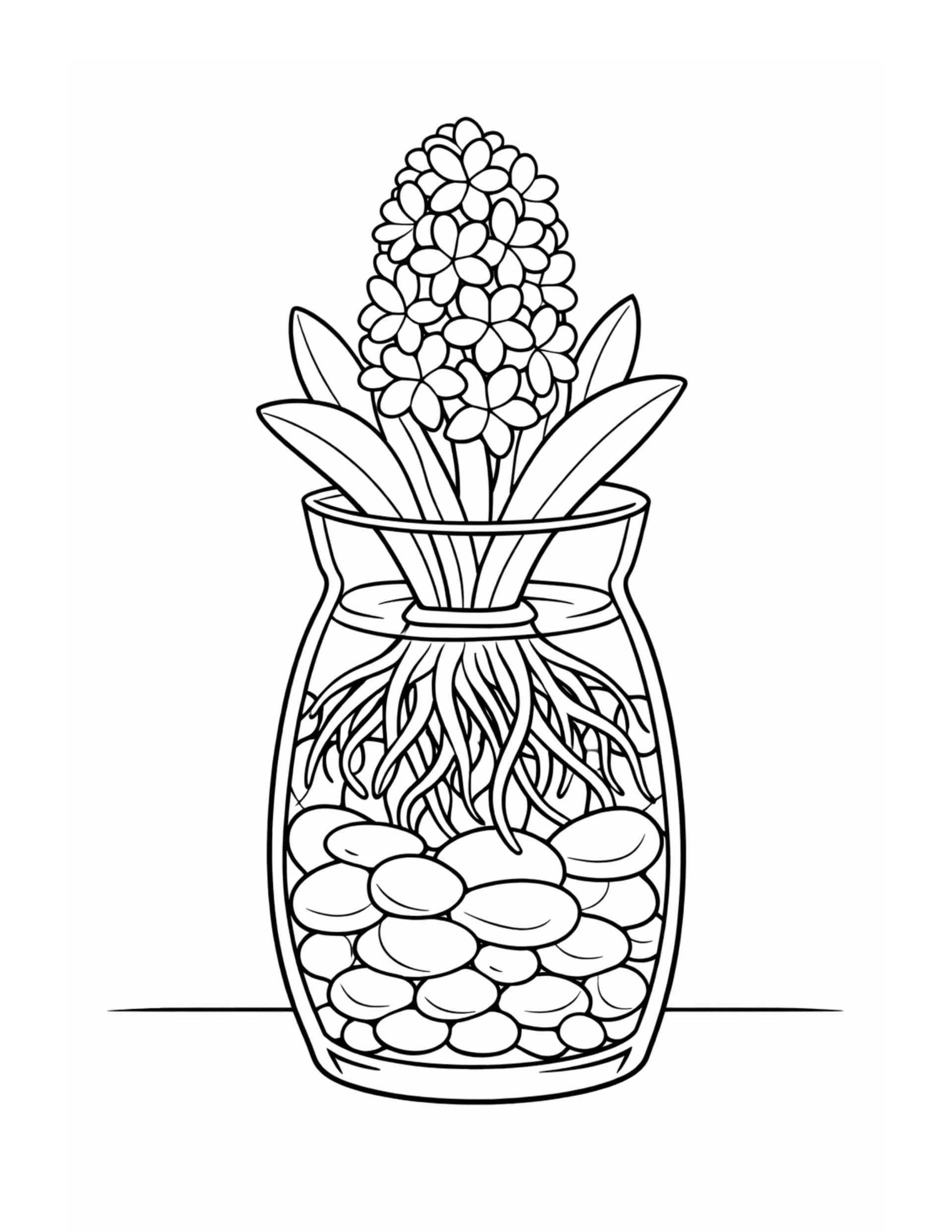 hyacinth in glass jar roots coloring page showing clustered blooms, leaves, roots, and pebbles coloring page