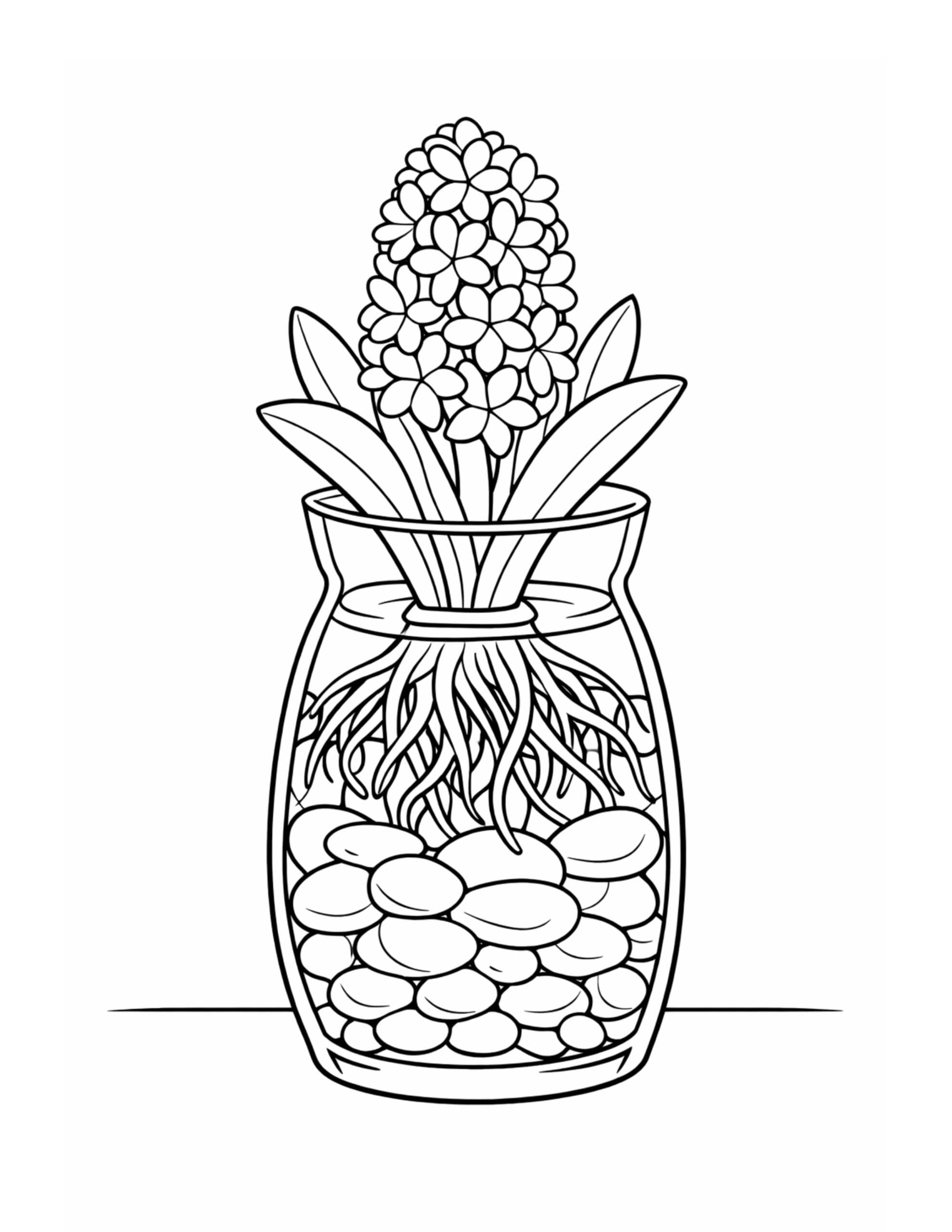 hyacinth in glass jar roots coloring page showing clustered blooms, leaves, roots, and pebbles coloring page